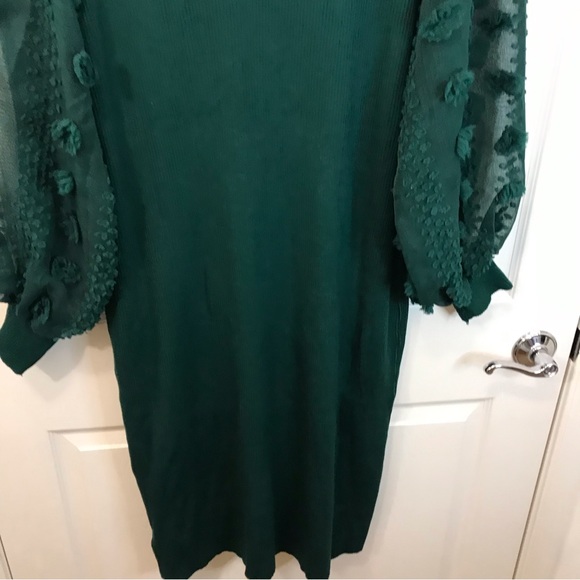 Hunter Green Sweater Dress 4X, Long Sleeve Swiss Dot Sheer Sleeve, Stretch Knit - Picture 11 of 14